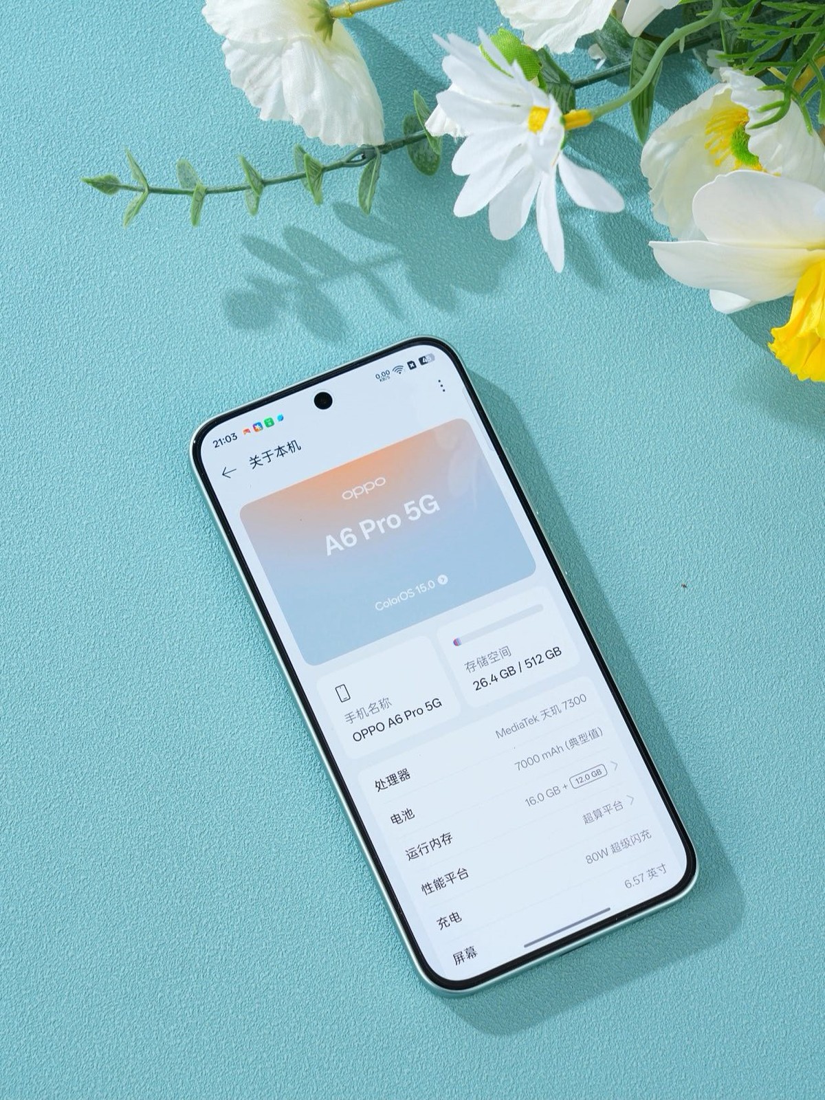Oppo A6 Pro (China) 6.57" 50MP Dimensity 7300 7000mAh Android unlocked Color Random color or note when placing an order Style Mobile phone + charger Storage Capacity 16+512GB - Image 10