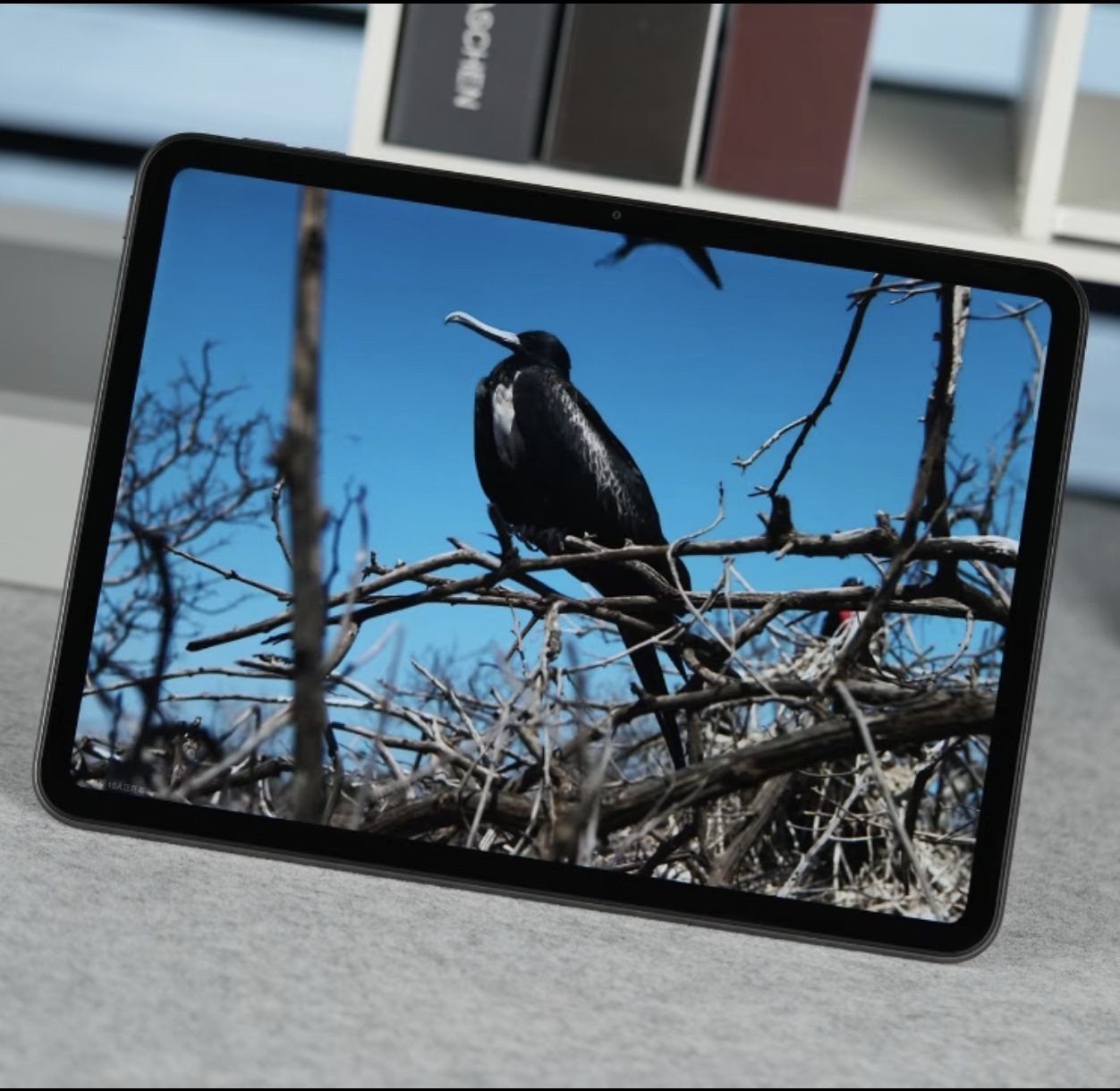 Oppo Pad Air2 11.4" 8MP Mediatek Helio G99 8000mAh Wi-Fi Android 13 Storage 8+256GB Color random color. - Image 8
