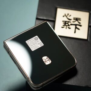 Samsung W23 Flip 5G 6.7" 12MP Snapdragon Foldable Google 12+512GB Color Random color Storage Capacity 12+512GB