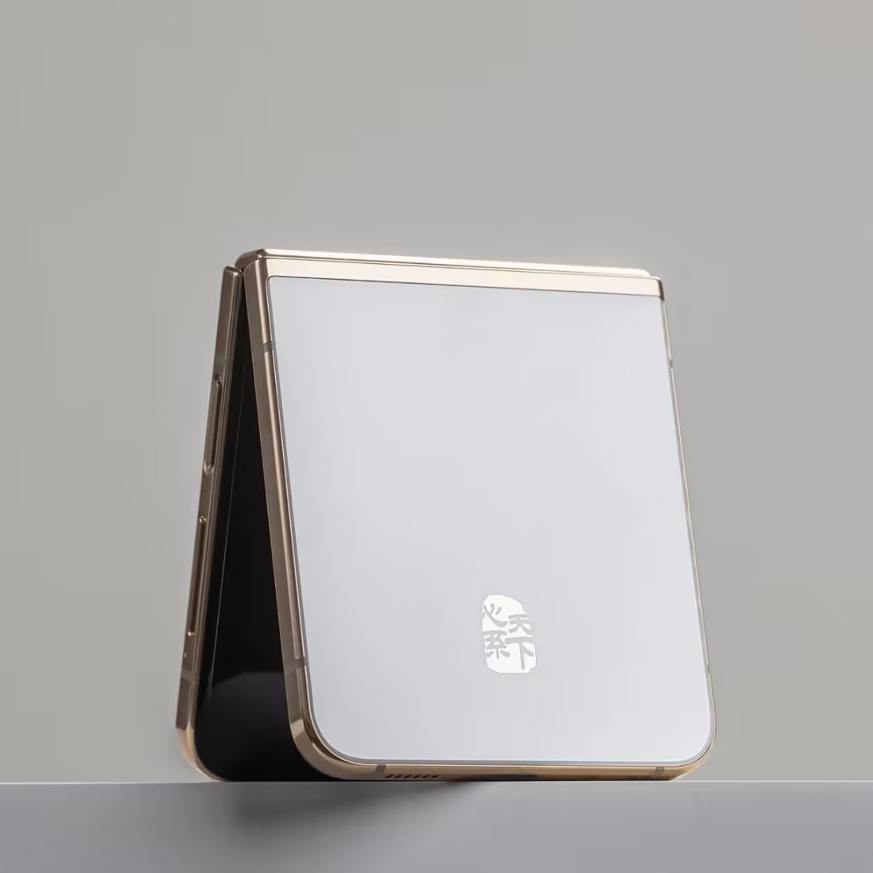 Samsung W24 Flip 5G SM-W7024 6.7" 12MP Snapdragon Foldable Google 12+512GB Color Random color Storage Capacity 12+512GB - Image 3
