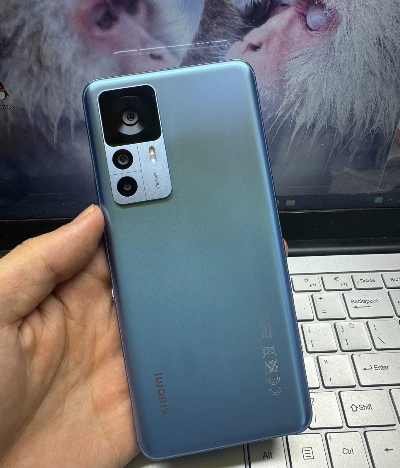Xiaomi 12T 6.67"256GB 108MP -(unlocked)International version 5G Dimensity Storage Capacity 12GB+256GB Colour Please note the color - Image 2