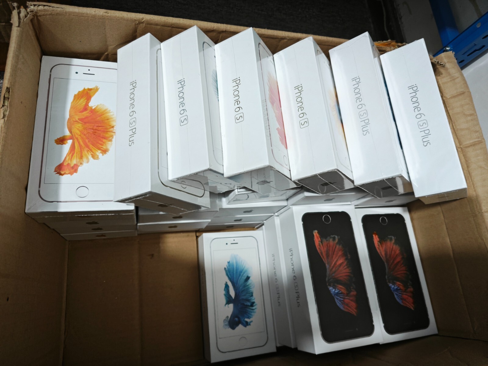 Apple iPhone 6S/6S Plus 6P 64GB IOS15 Smartphone Sealed Storage 64GB Color Random colors Model Number 6s - Image 14