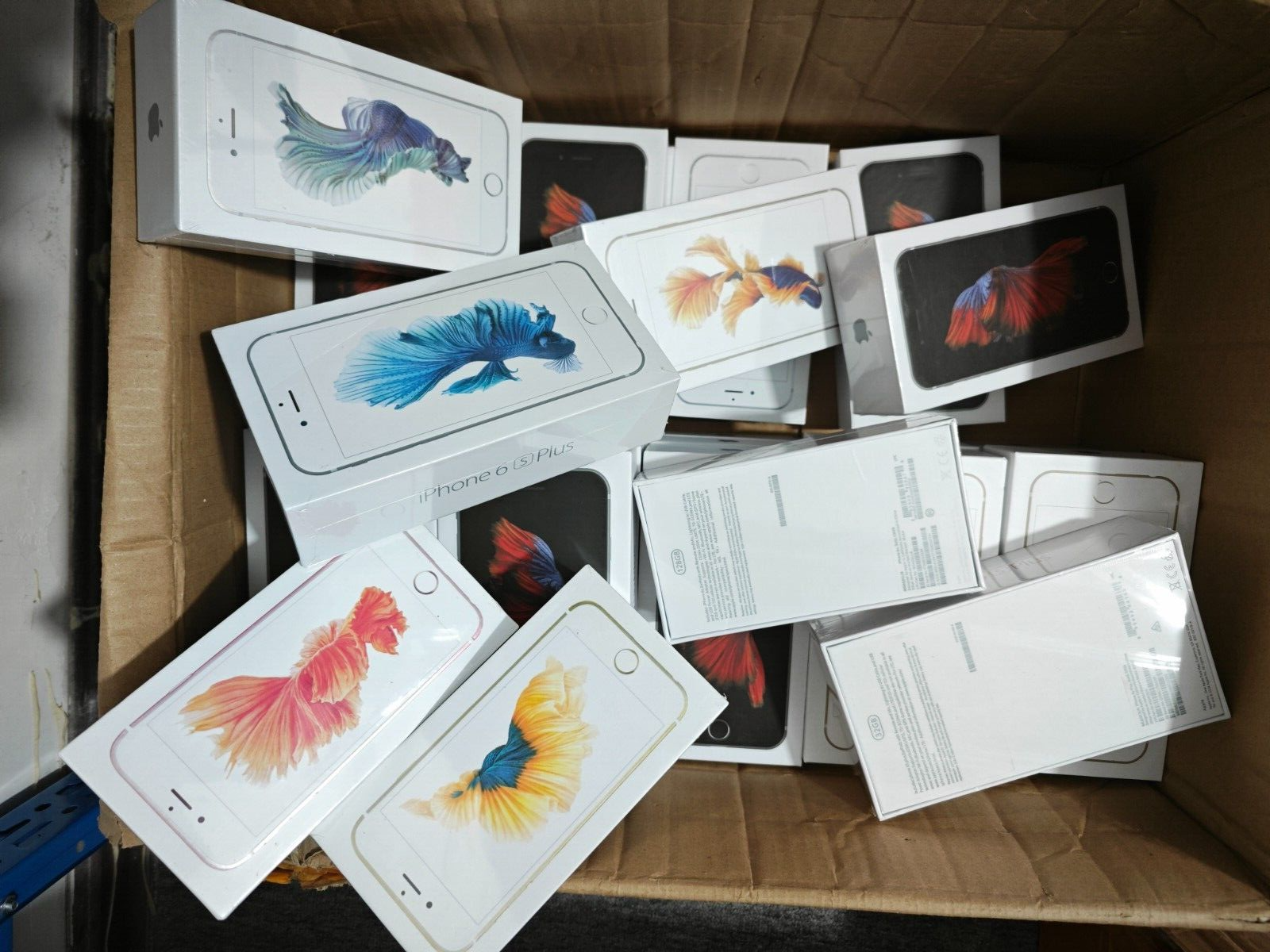 Apple iPhone 6S/6S Plus 6P 64GB IOS15 Smartphone Sealed Storage 64GB Color Random colors Model Number 6s - Image 4